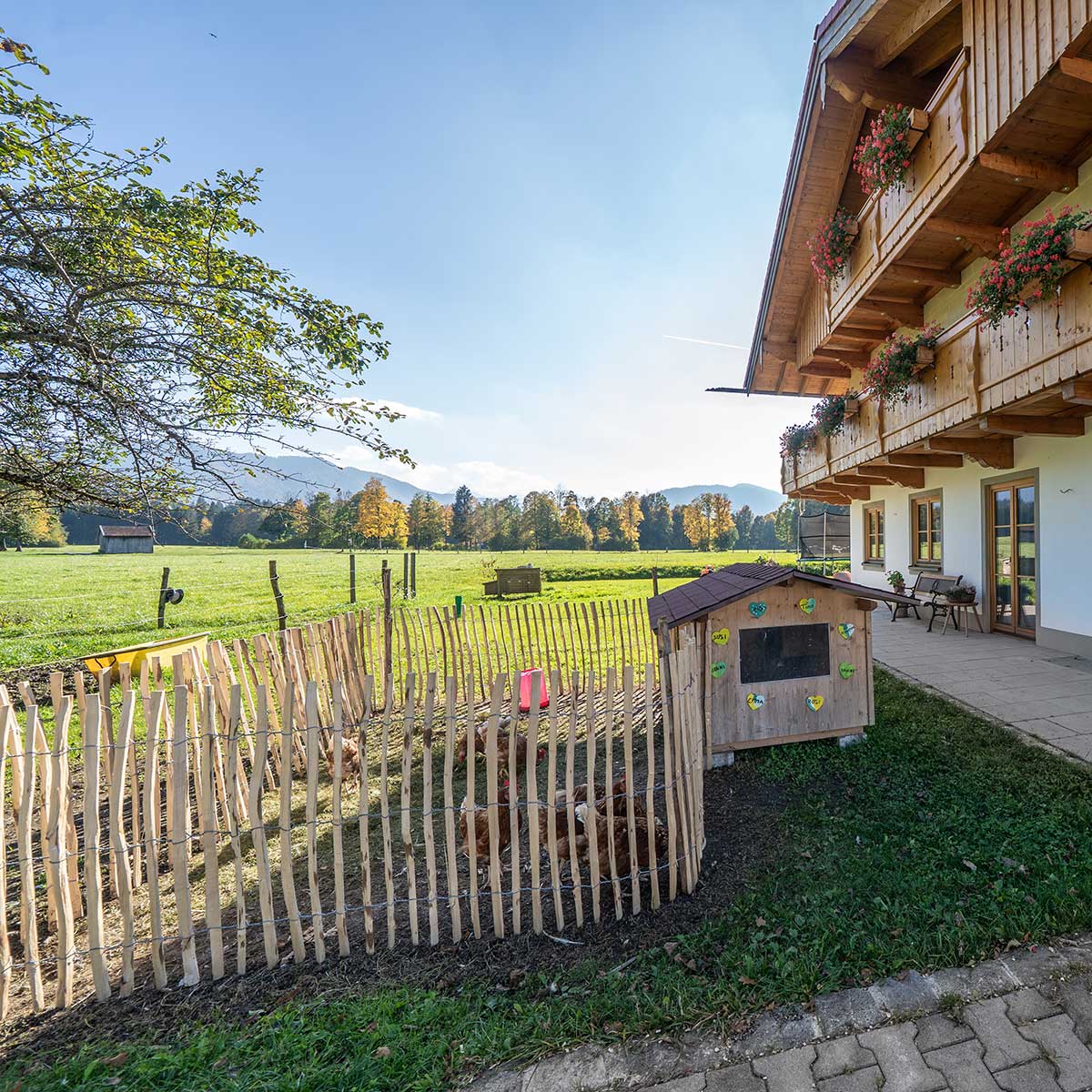 Ferienwohnung-Steffelbauerhof-Familienurlaub-Huehner-am-Hof Ferienwohnung-Steffelbauerhof-Familienurlaub-Huehner-am-Hof