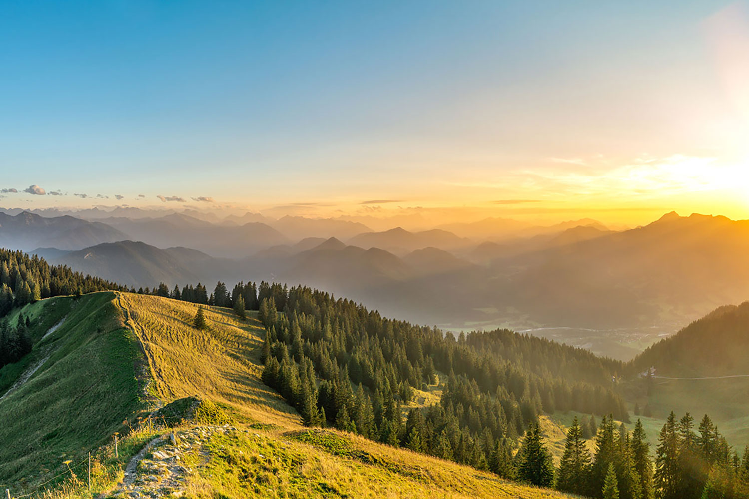 Ferienwohnung-Steffelbauerhof-Urlaubsregion Ferienwohnung-Steffelbauerhof-Urlaubsregion