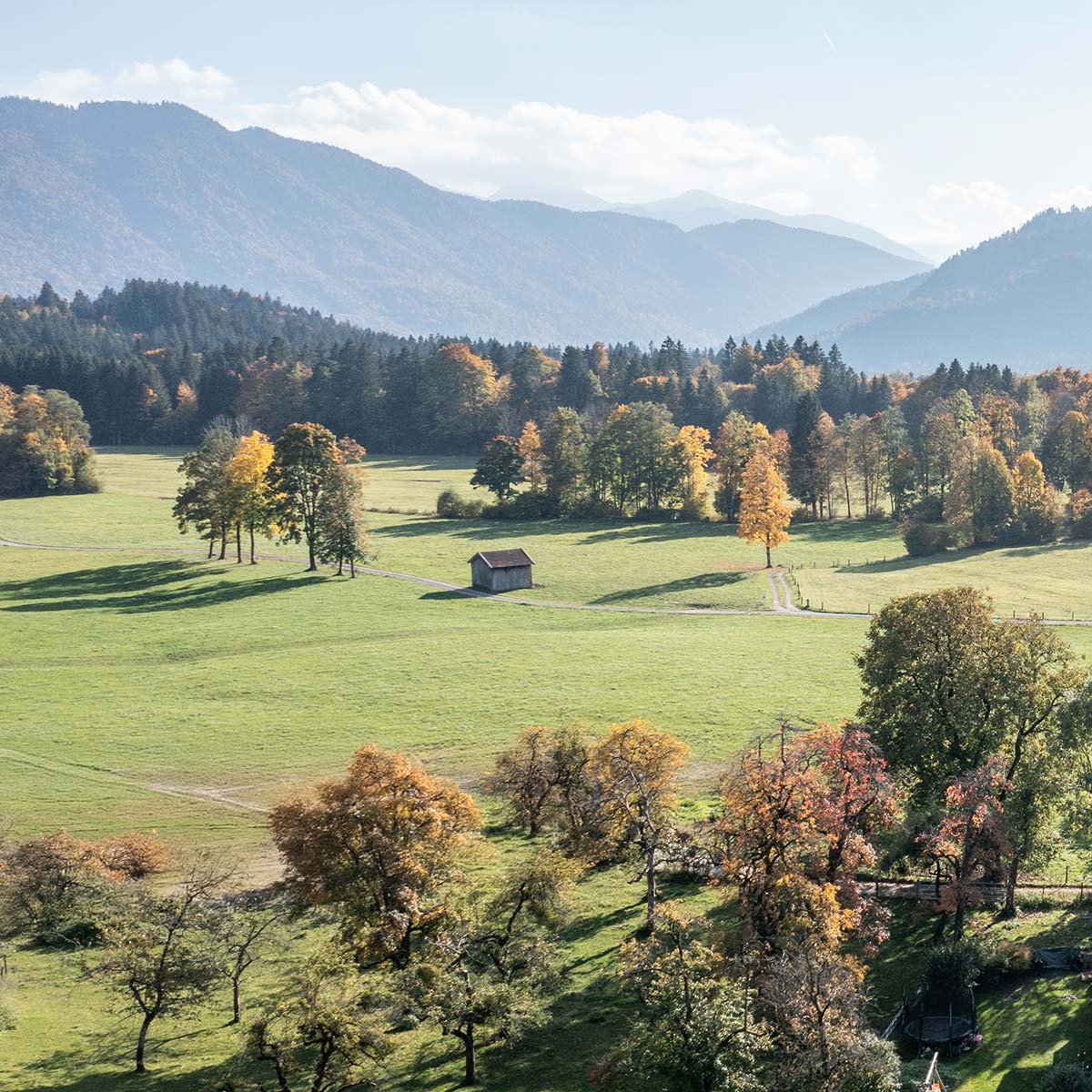 Ferienwohnung-Steffelbauerhof-mitten-in-der-Natur Ferienwohnung-Steffelbauerhof-mitten-in-der-Natur