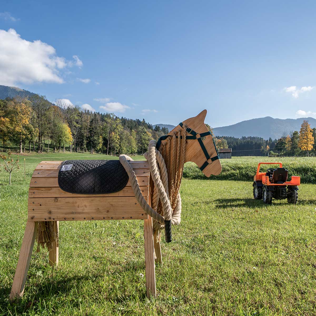 Ferienwohnung-Steffelbauerhof-spielplatz-mit-spielpferd Ferienwohnung-Steffelbauerhof-spielplatz-mit-spielpferd